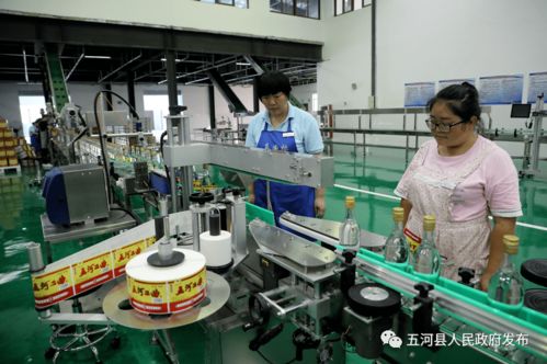 安徽淮酒新廠(chǎng)正式啟用，開(kāi)啟酒類(lèi)經(jīng)營(yíng)新篇章